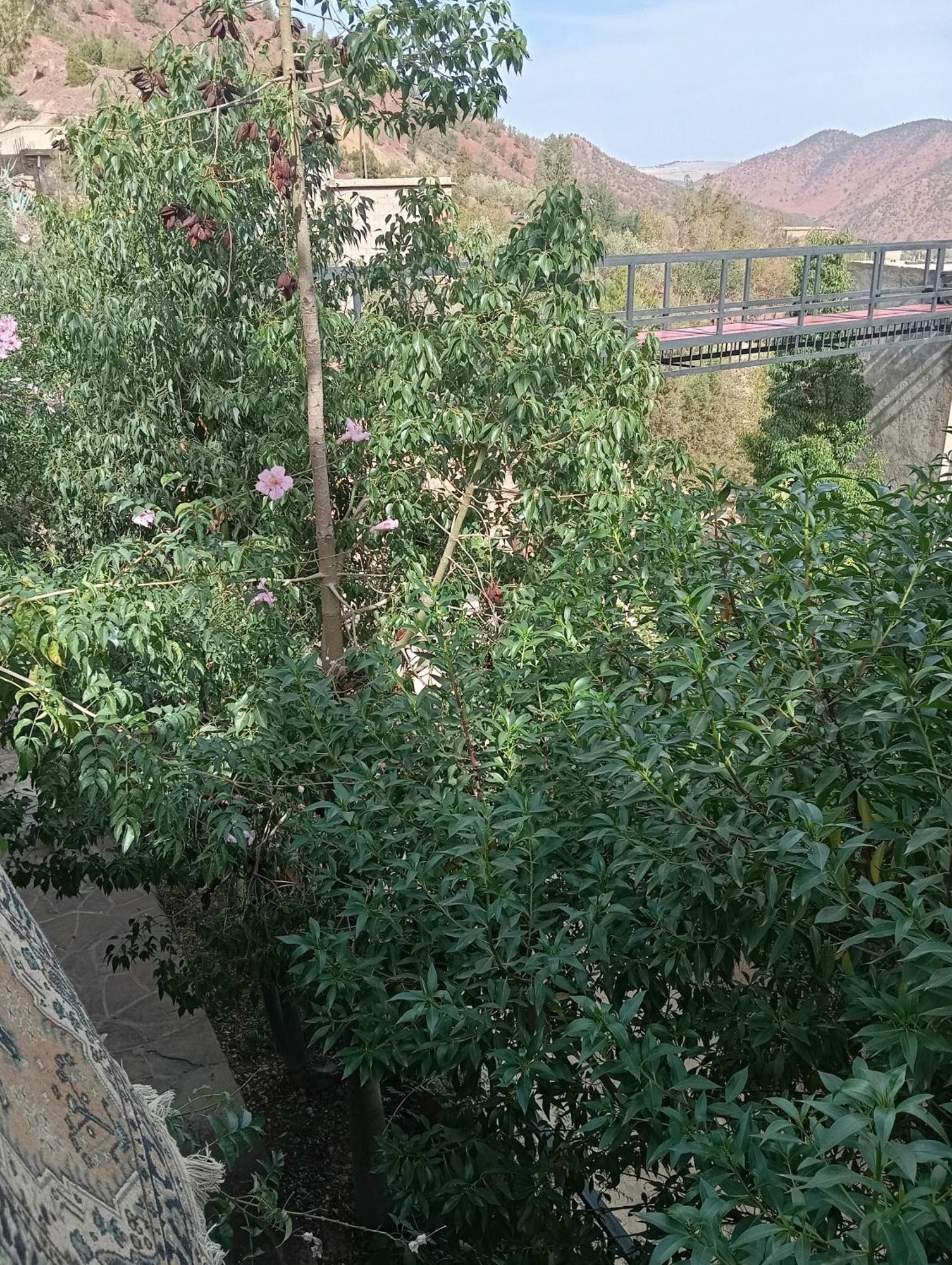 Dar Soulaimane Hotel Asguine Buitenkant foto